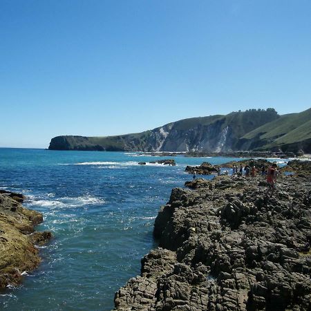 Viviendas De Uso Turistico La Arboleda I Y II Colombres Dış mekan fotoğraf
