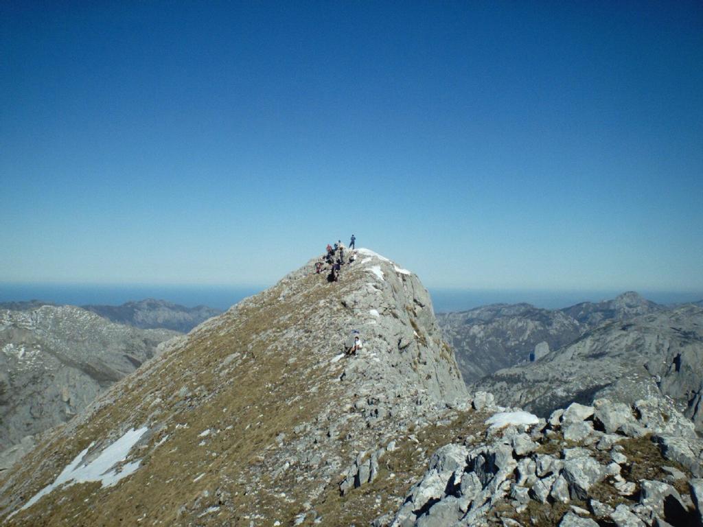 Viviendas De Uso Turistico La Arboleda I Y II Colombres Oda fotoğraf