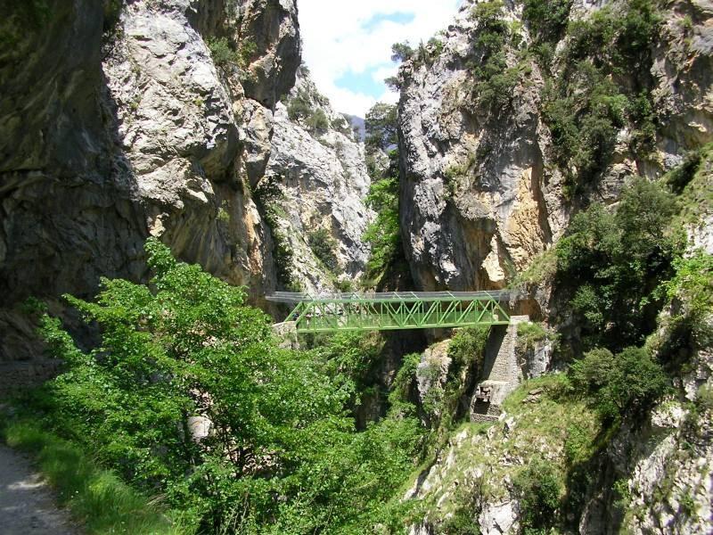 Viviendas De Uso Turistico La Arboleda I Y II Colombres Oda fotoğraf