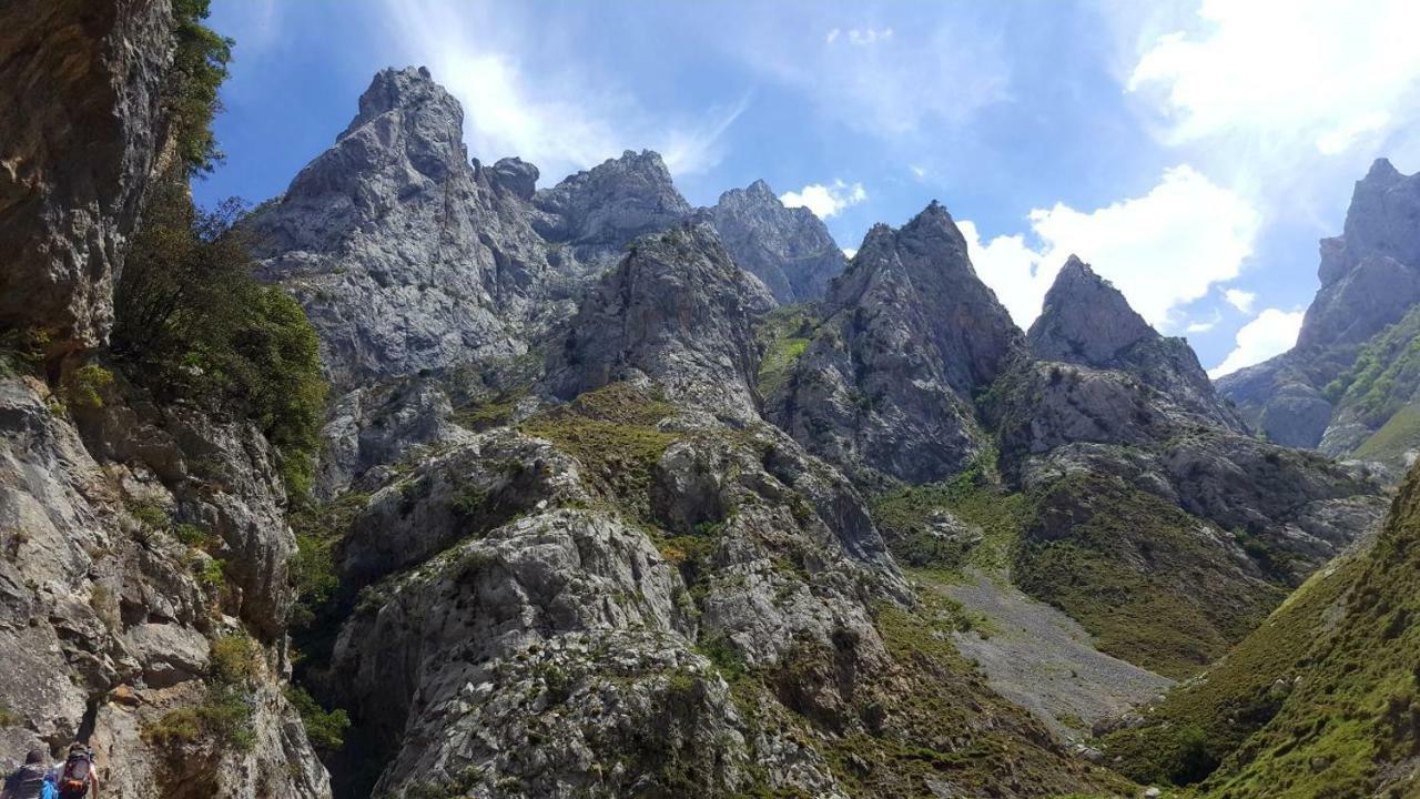 Viviendas De Uso Turistico La Arboleda I Y II Colombres Dış mekan fotoğraf