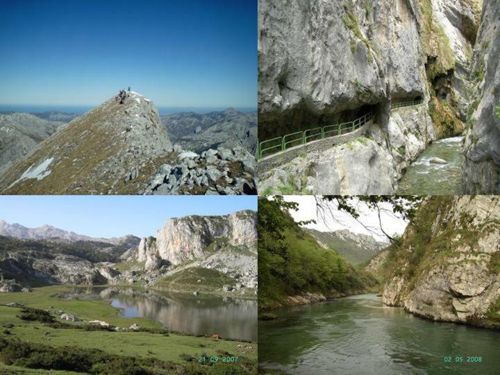 Viviendas De Uso Turistico La Arboleda I Y II Colombres Dış mekan fotoğraf